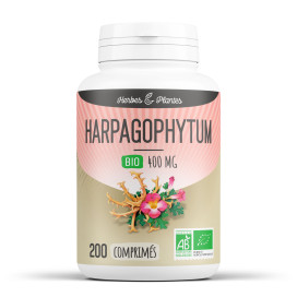 Harpagophytum bio 