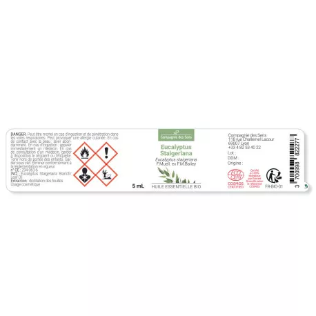 EUCALYPTUS STAIGERIANA - Huile essentielle BIO