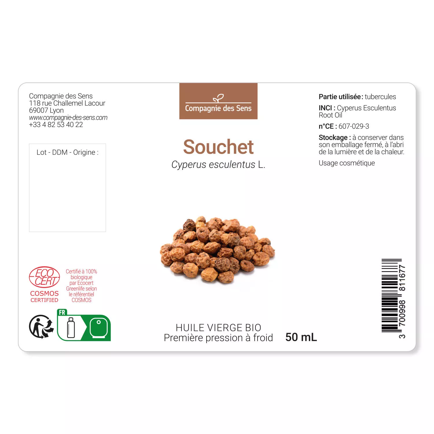 Souchet - Huile Végétale Vierge BIO - Flacon en verre
