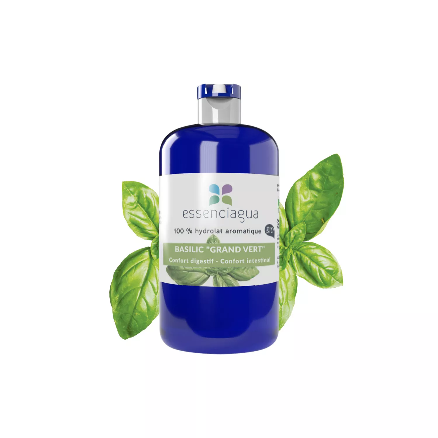 Basilic "Grand Vert" - Hydrolat Bio