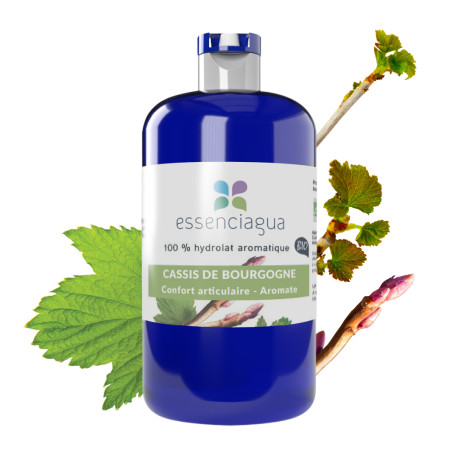 Cassis de Bourgogne - Hydrolat Bio