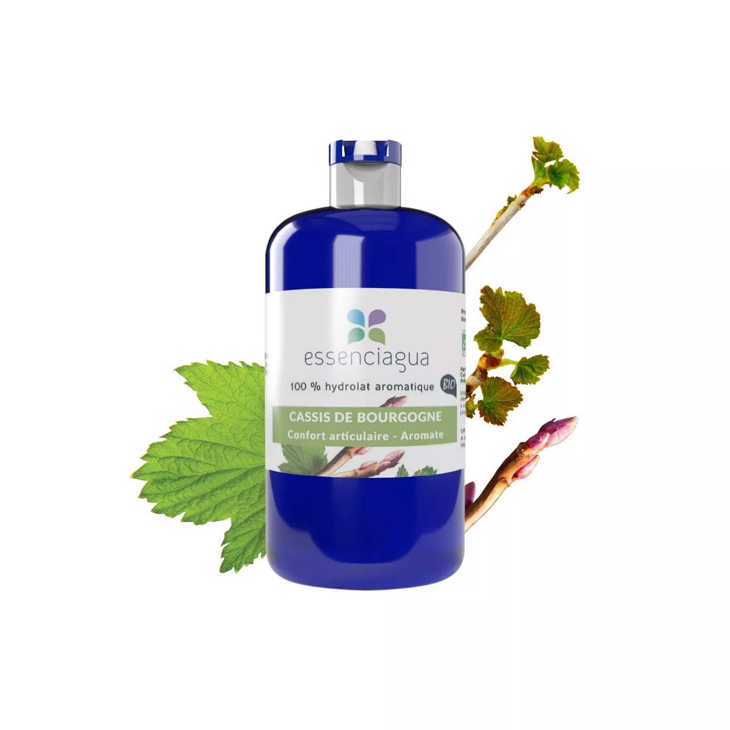 Cassis de Bourgogne - Hydrolat Bio