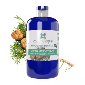 Cyprès Toujours Vert
