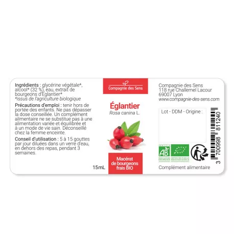 ÉGLANTIER - Macérat de bourgeons BIO