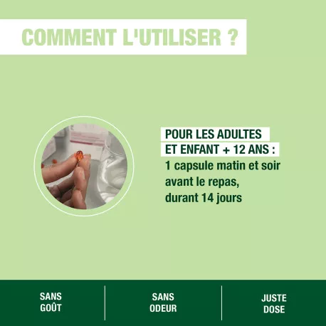 Capsules Drainage BIO - Aux Huiles Essentielles