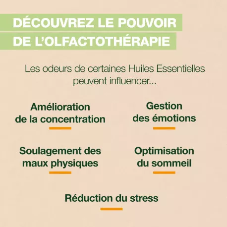 Brume d'Oreiller Energy BIO - Aux Huiles Essentielles