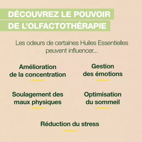 Roll on Focus BIO - Aux Huiles Essentielles