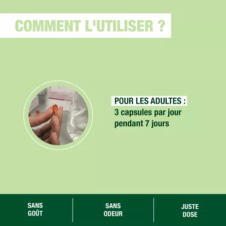 Capsules Voies Respiratoires BIO - Aux Huiles Essentielles