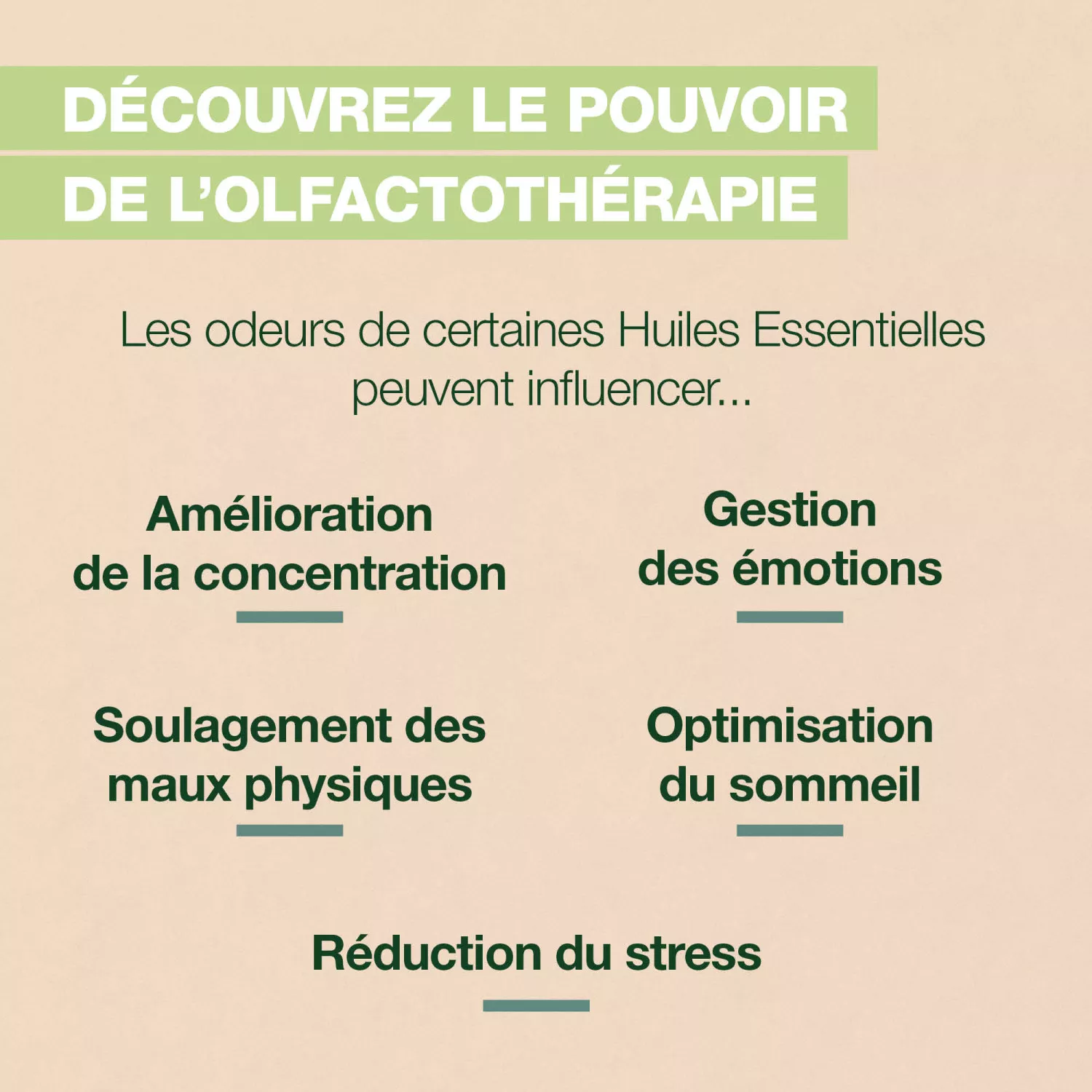 Roll on Immunity BIO - Aux Huiles Essentielles