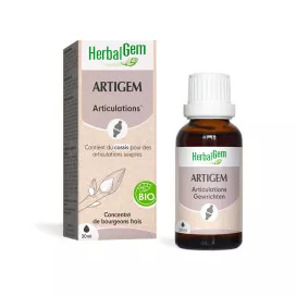 Artigem articulations bio