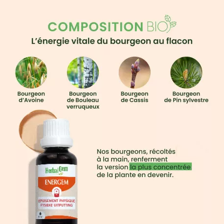 Energem Épuisement BIO - Complexe Gemmothérapie