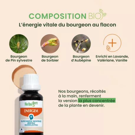 Energem Surcharge Mentale BIO - Complexe Gemmothérapie