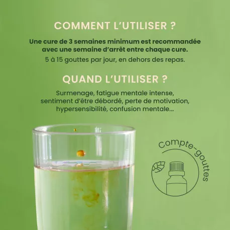 Energem Surcharge Mentale BIO - Complexe Gemmothérapie