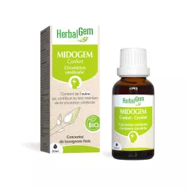 Midogem circulation cérébrale bio