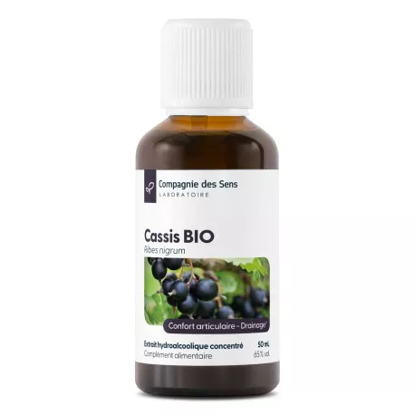 Cassis - Teinture mère BIO