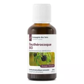Eleuthérocoque