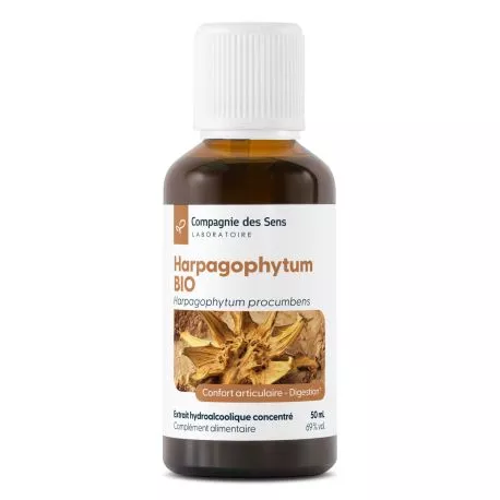 Teinture Mère De Griffe Du Diable (Harpagophytum) - 500ml - Rapport 1:3 - Pour Les Articulations