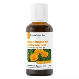 Pavot jaune de Californie