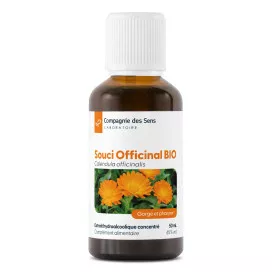 Calendula (souci officinal)