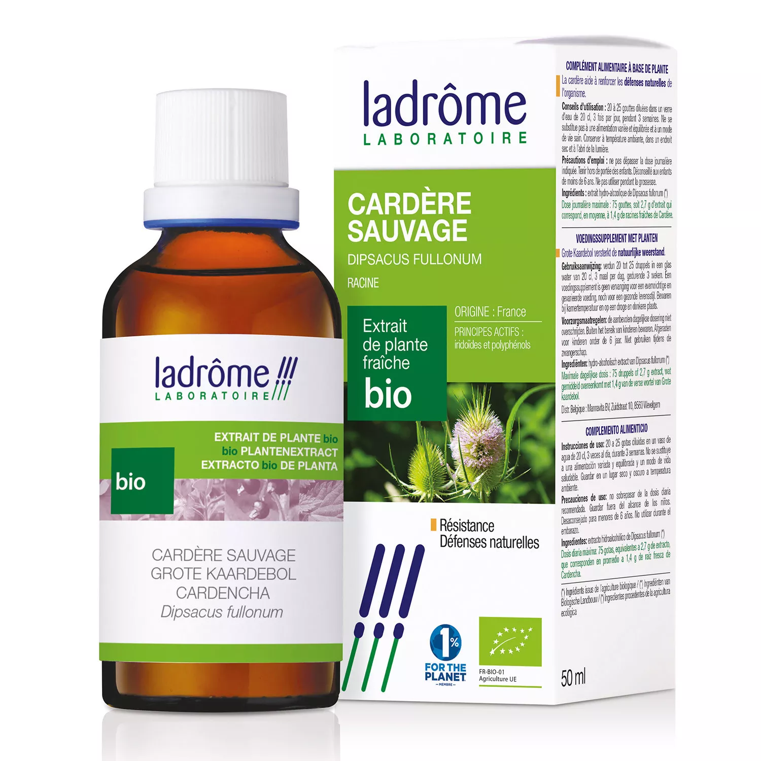 Cardère Sauvage - Teinture Mère BIO - Ladrôme