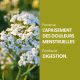 Achillée Millefeuille - Teinture mère BIO