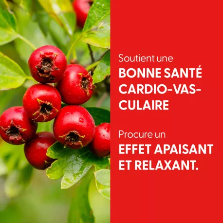 Aubépine - Teinture mère BIO