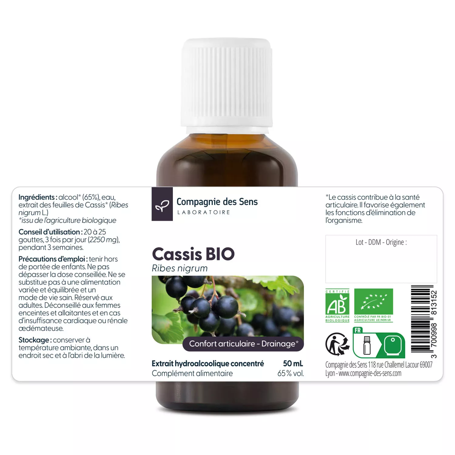 Cassis - Teinture mère BIO