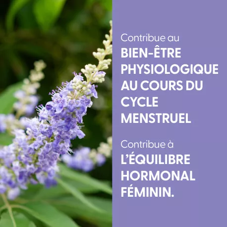 Gattilier - Teinture mère BIO