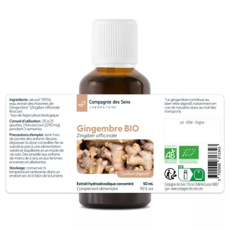 Gingembre - Teinture mère BIO