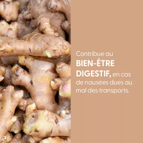 Gingembre - Teinture mère BIO