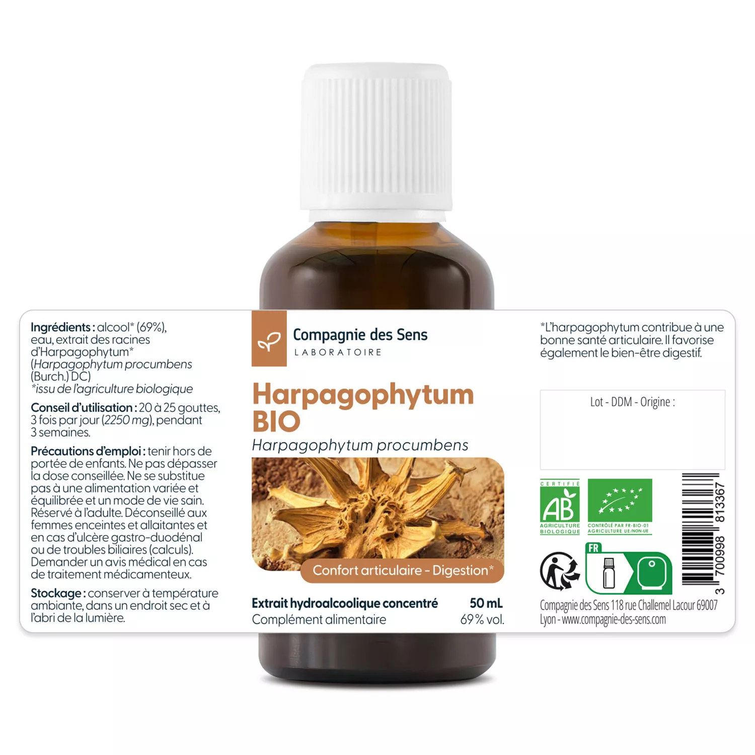 Harpagophytum - Teinture mère BIO