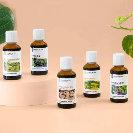 Millepertuis - Teinture mère BIO