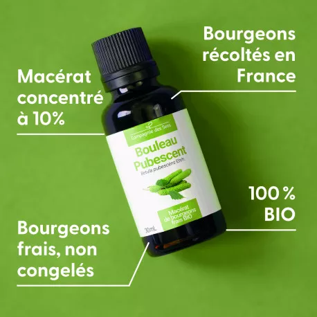 BOULEAU PUBESCENT - Macérat de bourgeons BIO