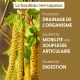 BOULEAU VERRUQUEUX - Macérat de bourgeons BIO