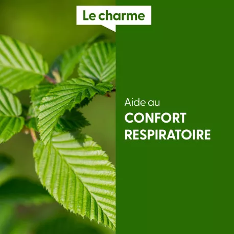 CHARME - Macérat de bourgeons BIO