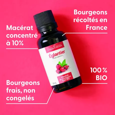 ÉGLANTIER - Macérat de bourgeons BIO
