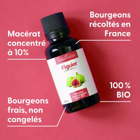 FIGUIER - Macérat de bourgeons BIO