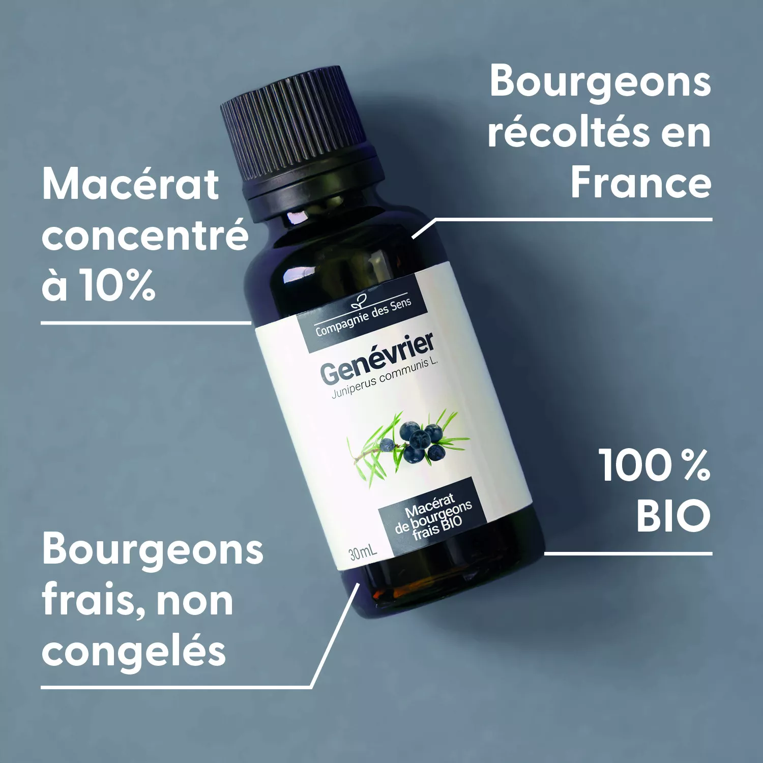 GENÉVRIER - Macérat de bourgeons BIO