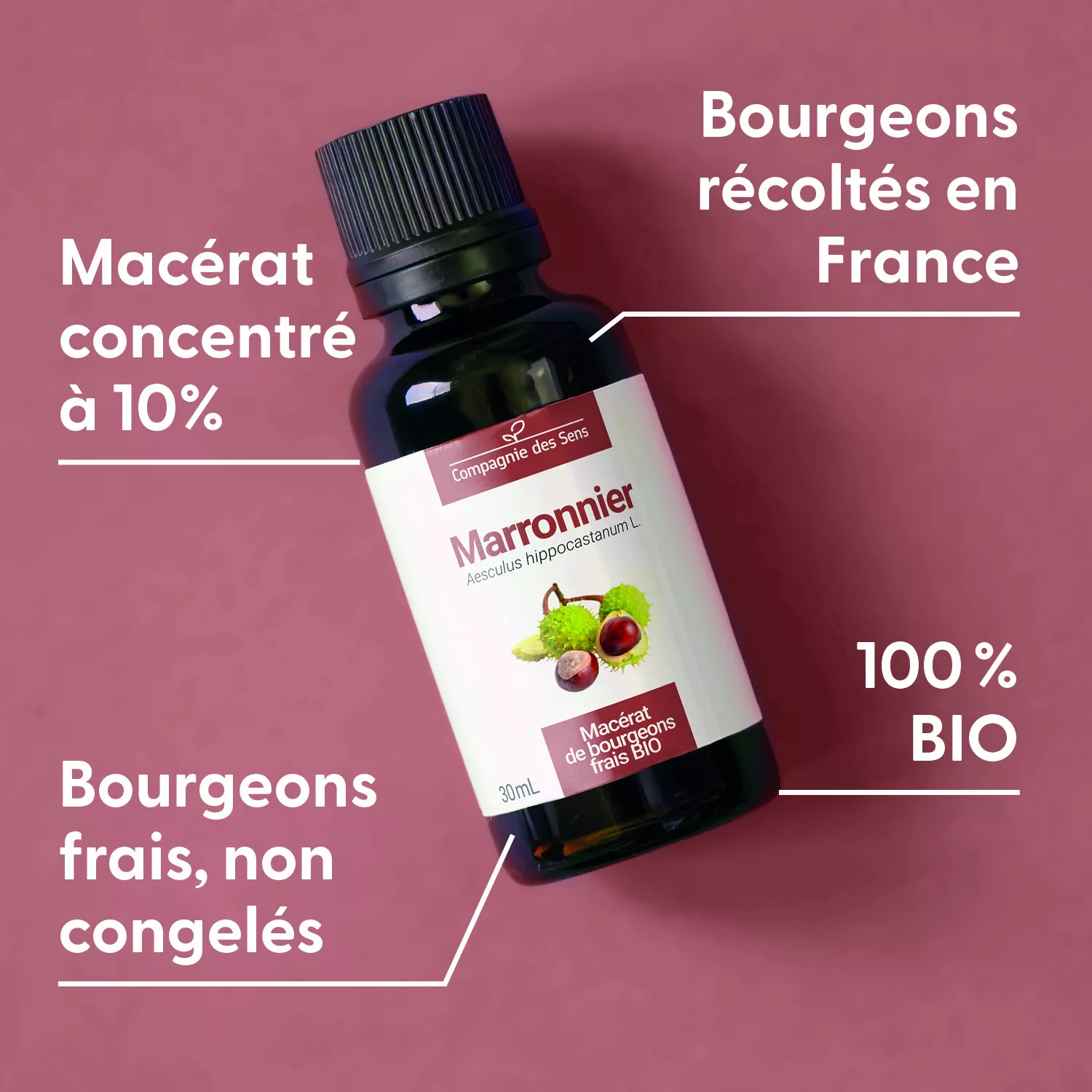 MARRONNIER - Macérat de bourgeons BIO