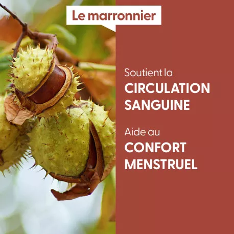 MARRONNIER - Macérat de bourgeons BIO