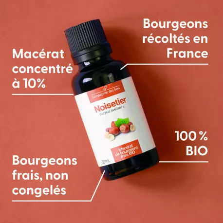 NOISETIER - Macérat de bourgeons BIO