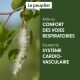 PEUPLIER - Macérat de bourgeons BIO