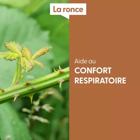 RONCE - Macérat de bourgeons BIO