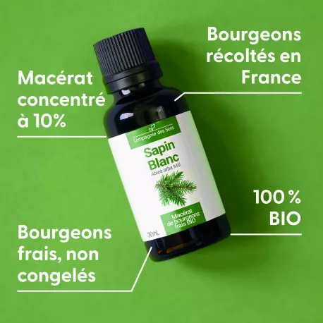 SAPIN BLANC - Macérat de bourgeons BIO