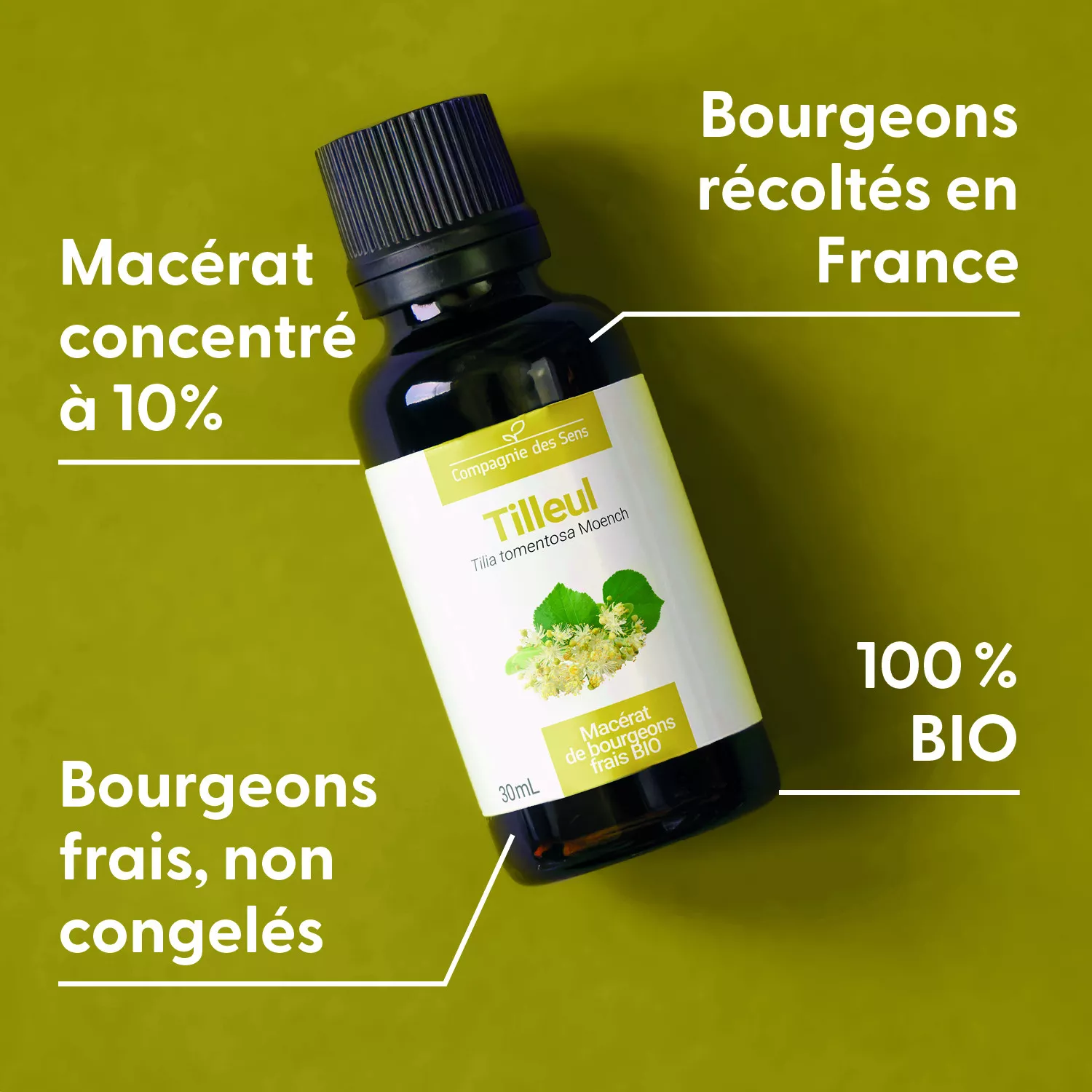 TILLEUL - Macérat de bourgeons BIO
