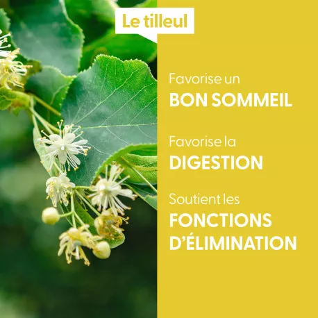 TILLEUL - Macérat de bourgeons BIO
