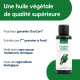 Calophylle Inophyle - Huile Végétale Vierge BIO - Flacon en verre