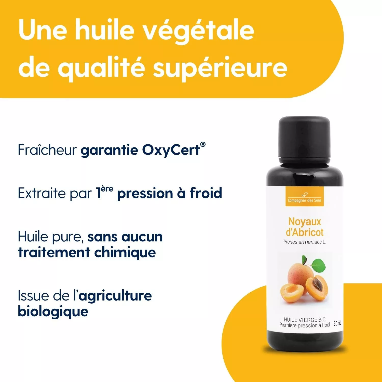Noyaux d'Abricot - Huile Végétale Vierge BIO - Flacon en verre