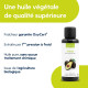 Avocat - Huile Végétale Vierge BIO - Flacon en verre