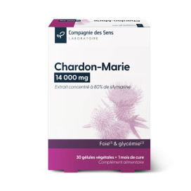 Chardon marie titré à 80 % de silymarine 